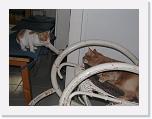 aaaa 016 * 2592 x 1944 * (1.23MB)